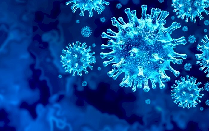 koronavirus